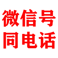 独山金鑫追债公司